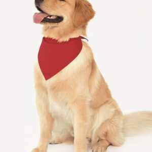 Doggie Skins 3905: USA-Made Doggie Bandana