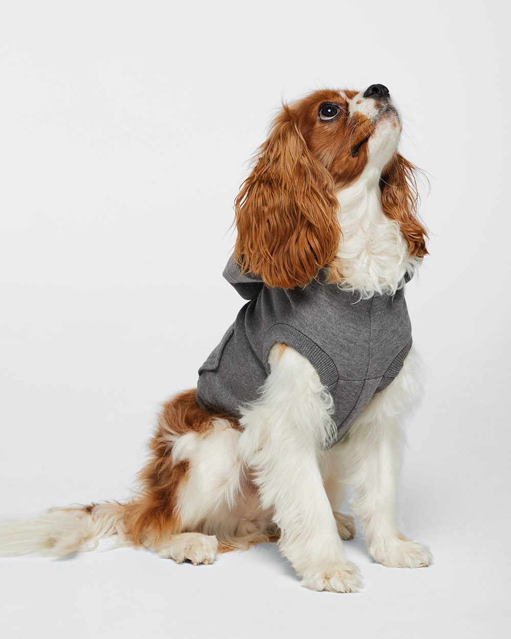 Doggie Skins 3926: Doggie 3-End Fleece Hooded Sweatshirt
